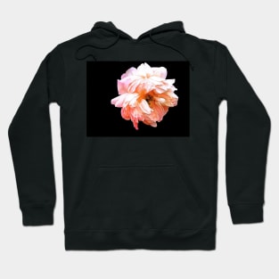 Light Peony on a Black Background Hoodie